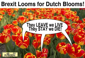 tulip-brexit-macd-sm